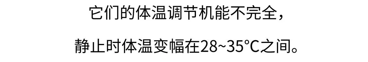 第212话 第20页