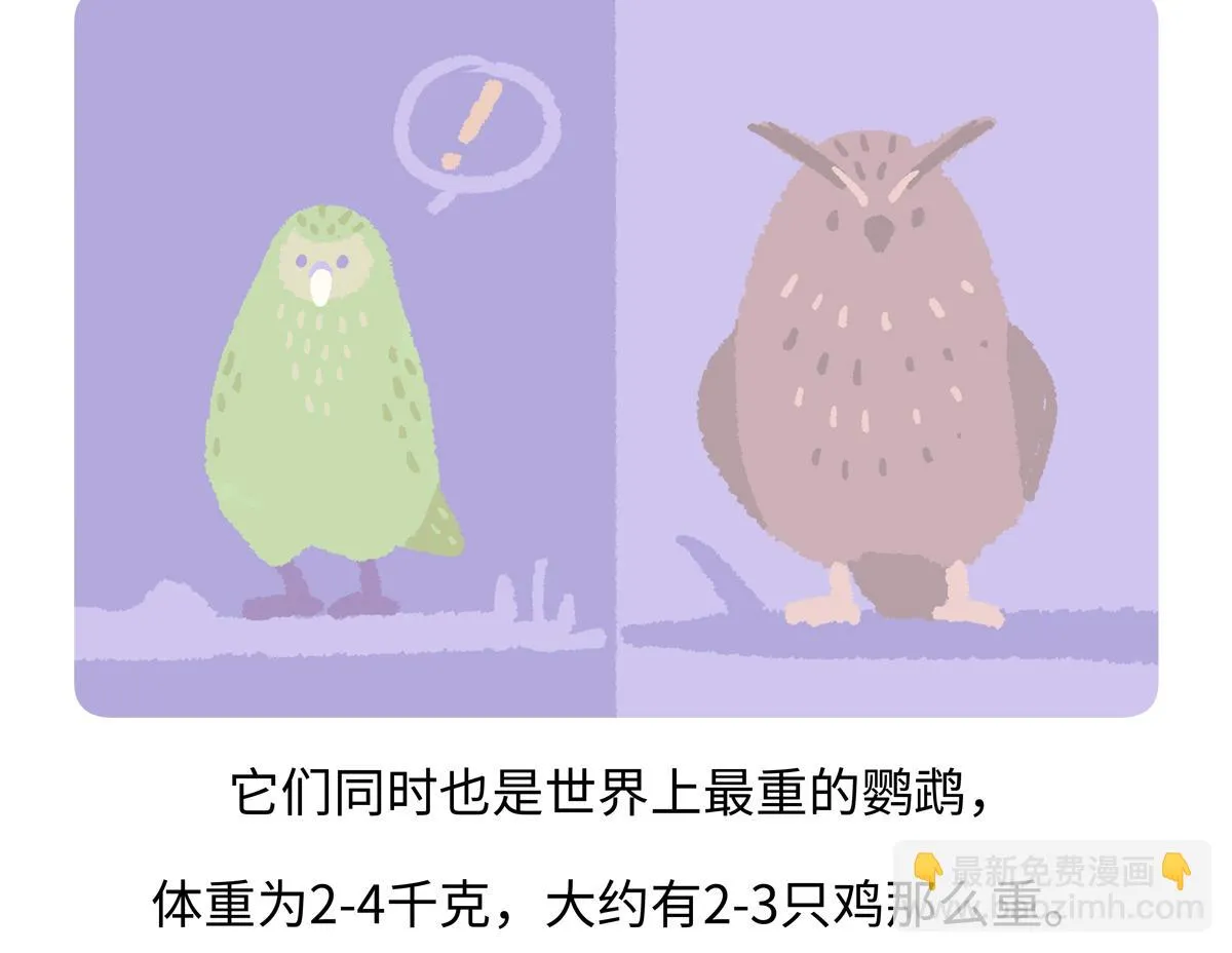 第216话 第18页