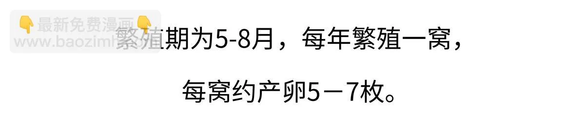 第219话 第19页