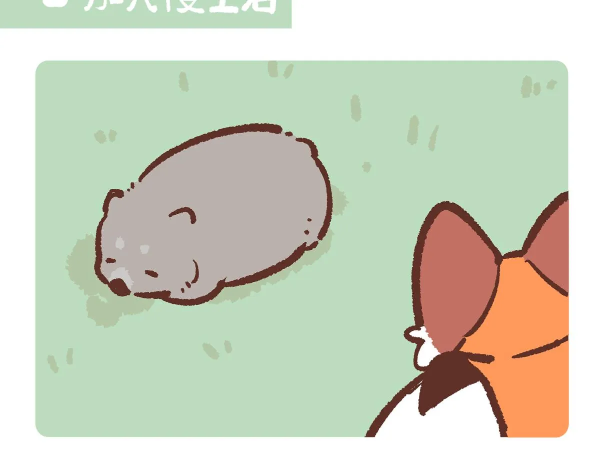 第221话 第13页