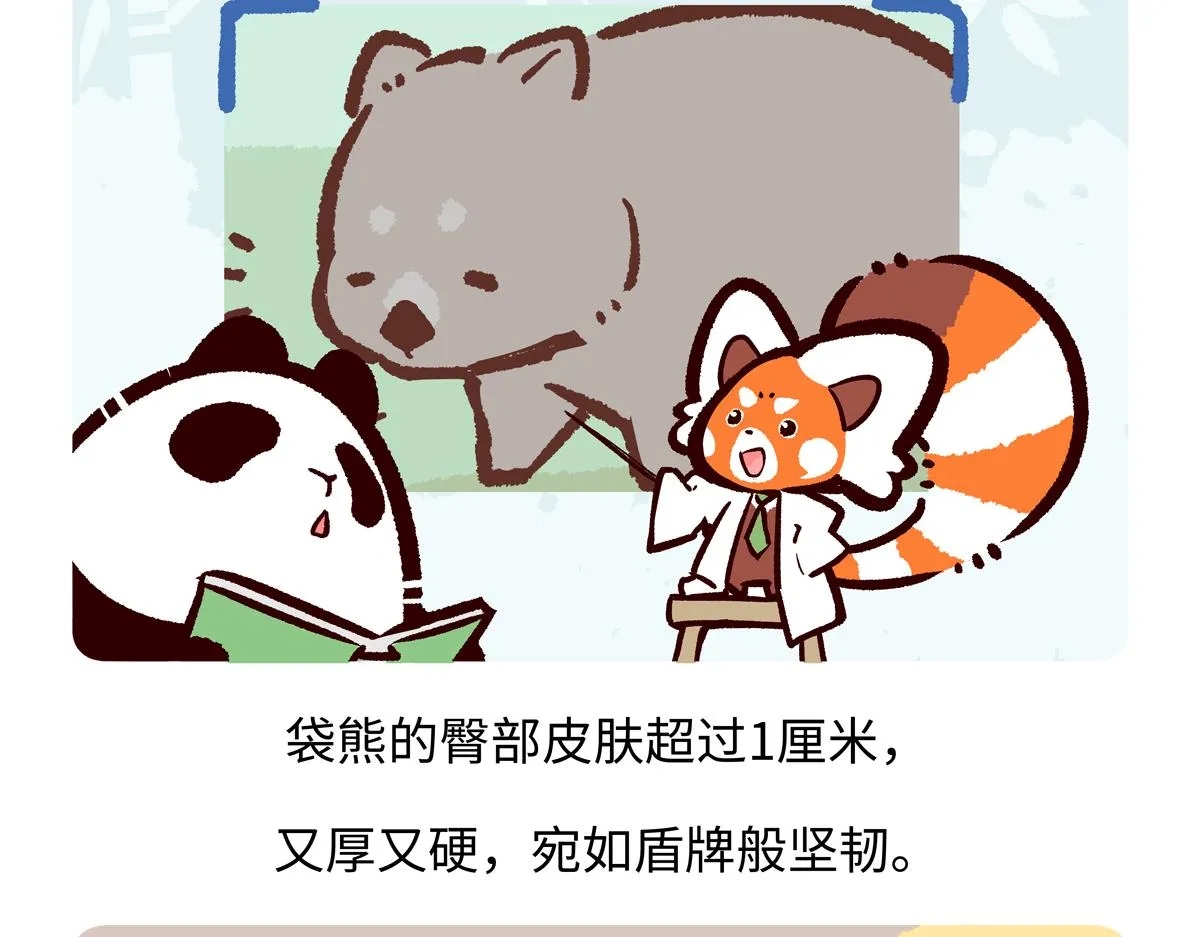 第221话 第25页