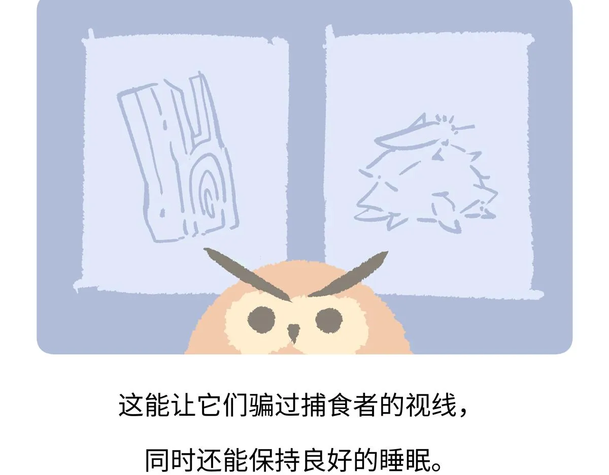 第222话 第25页