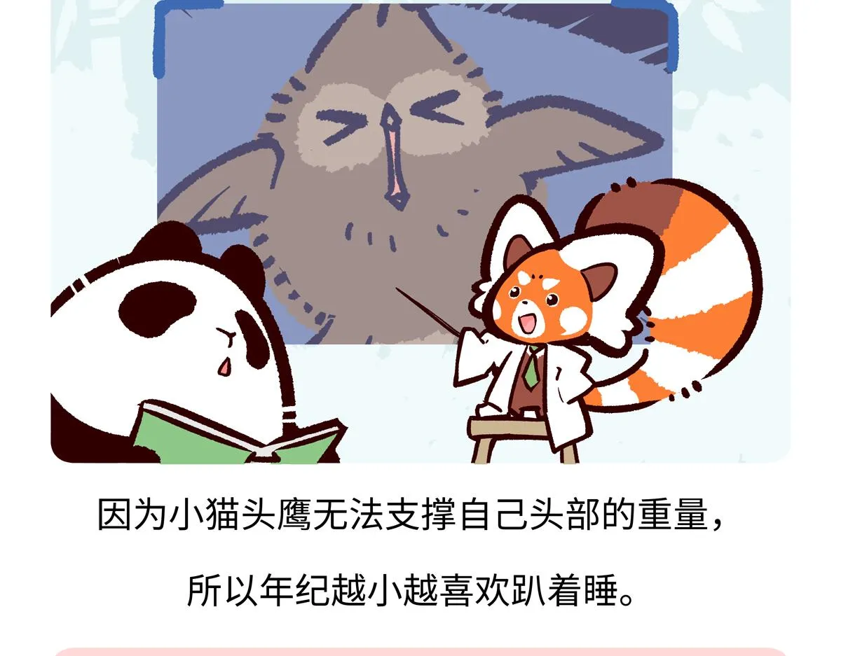第223话 第17页
