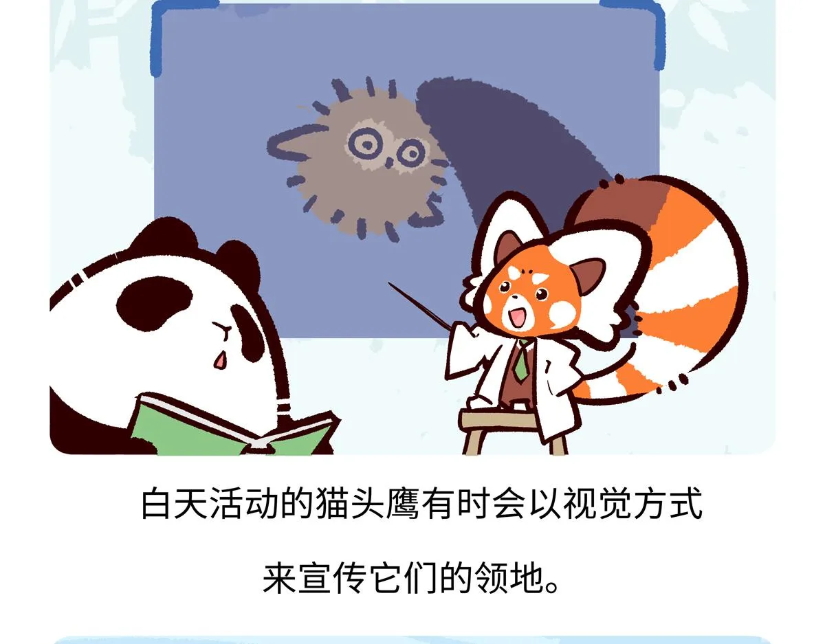 第223话 第22页