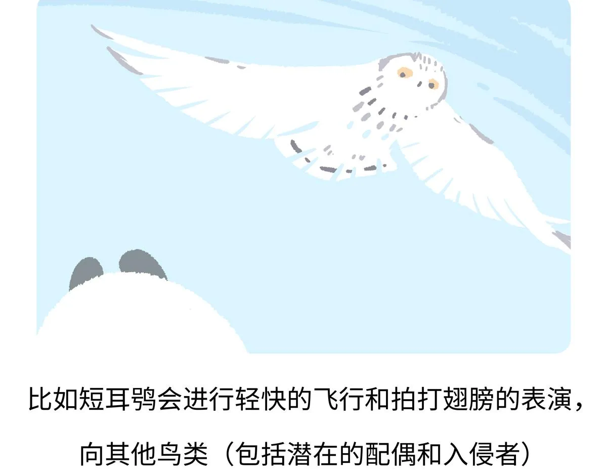 第223话 第23页