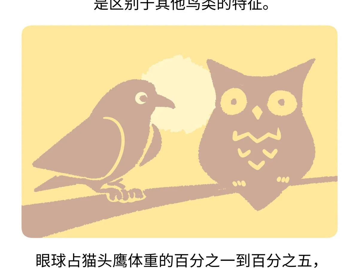 第224话 第21页