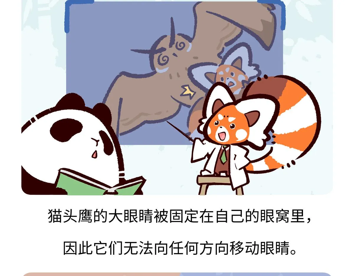 第225话 第19页