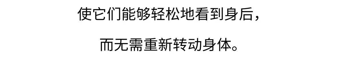 第225话 第21页