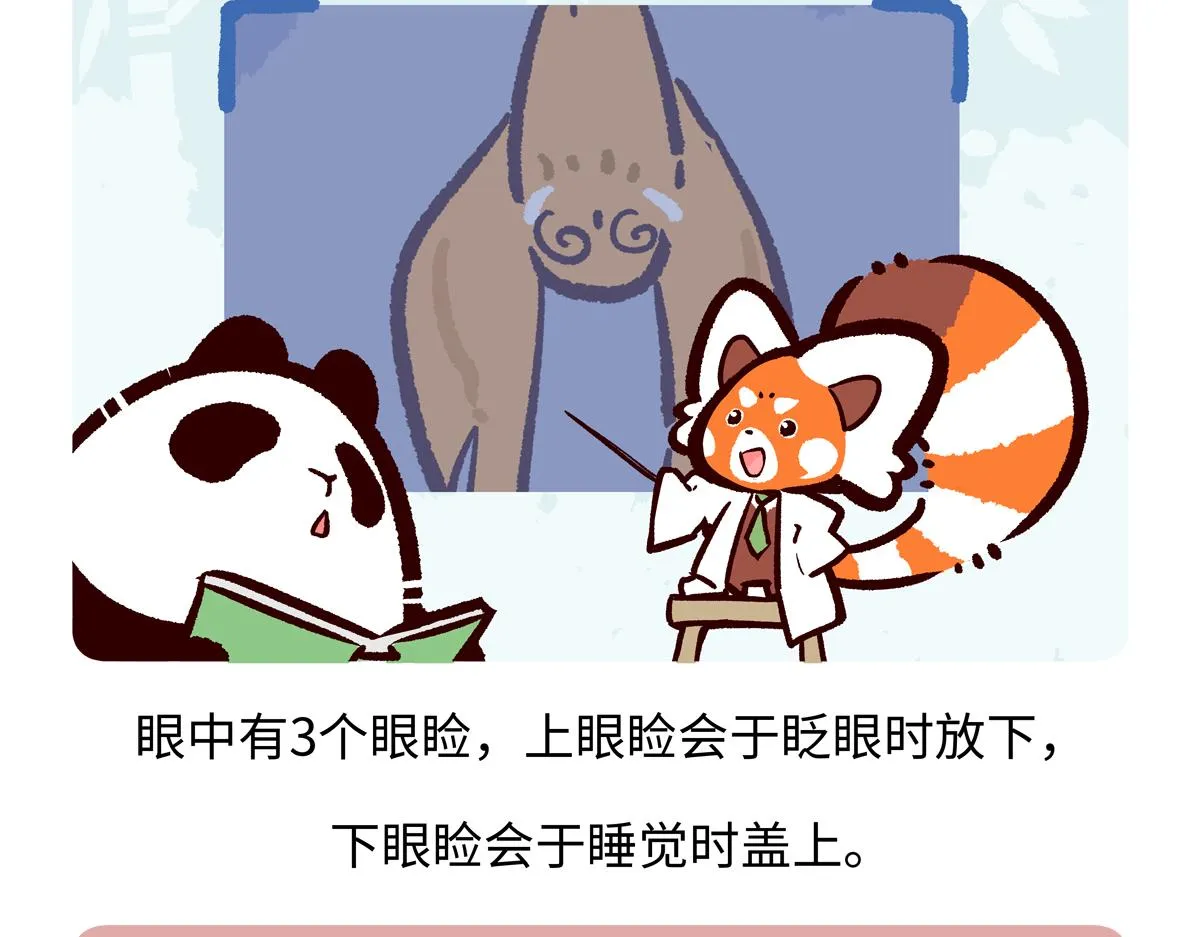 第225话 第26页