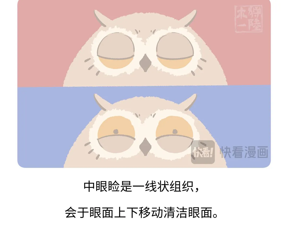 第225话 第27页