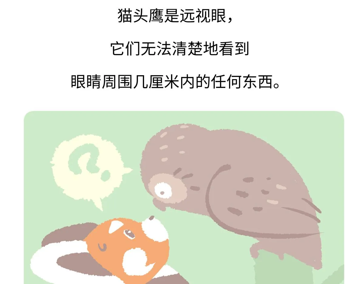 第225话 第29页