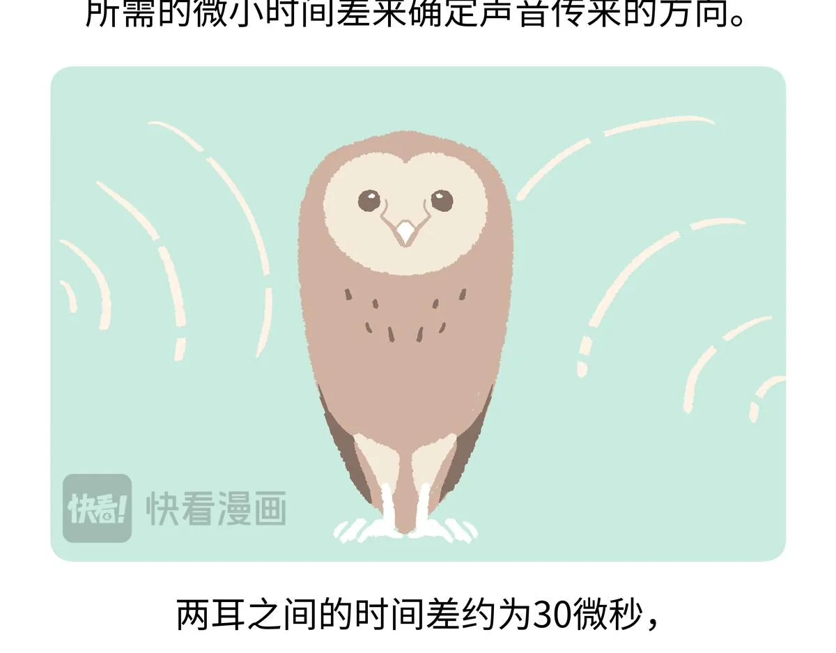 第226话 第25页