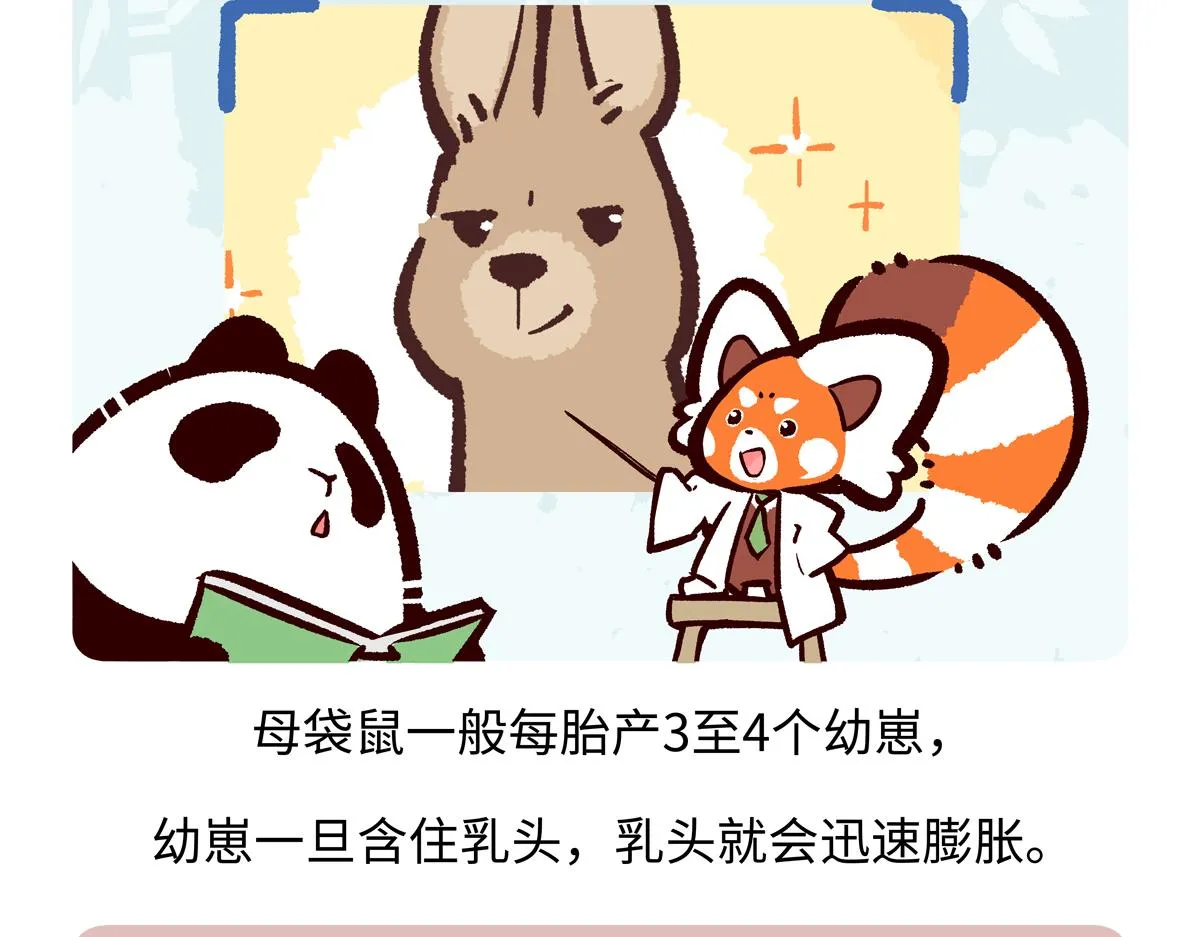 第228话 第26页