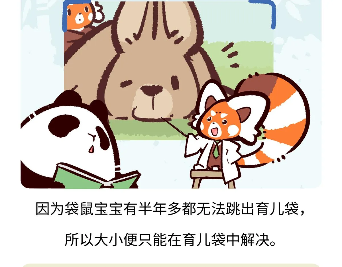 第229话 第19页