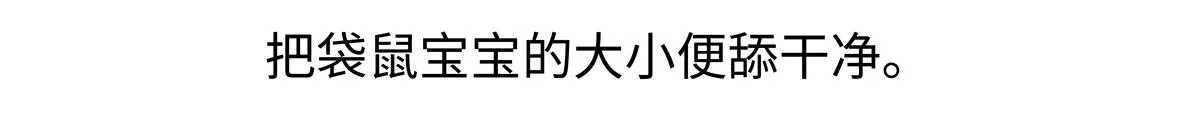 第229话 第21页