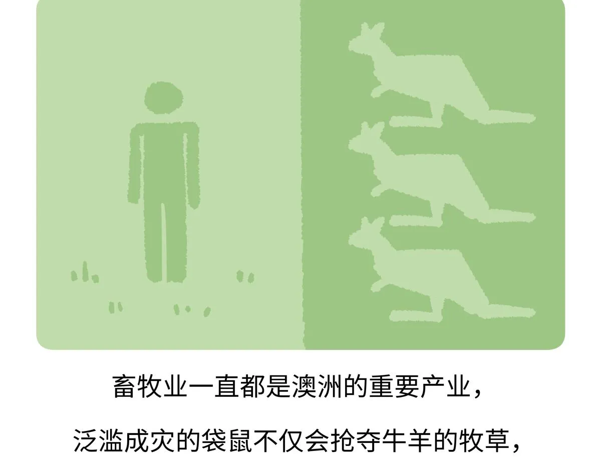 第232话 第20页