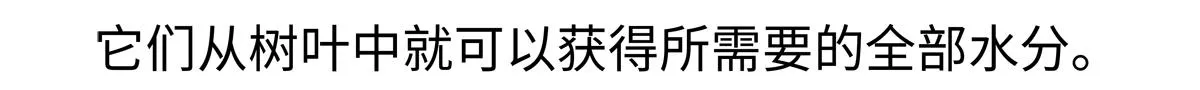 第234话 第21页
