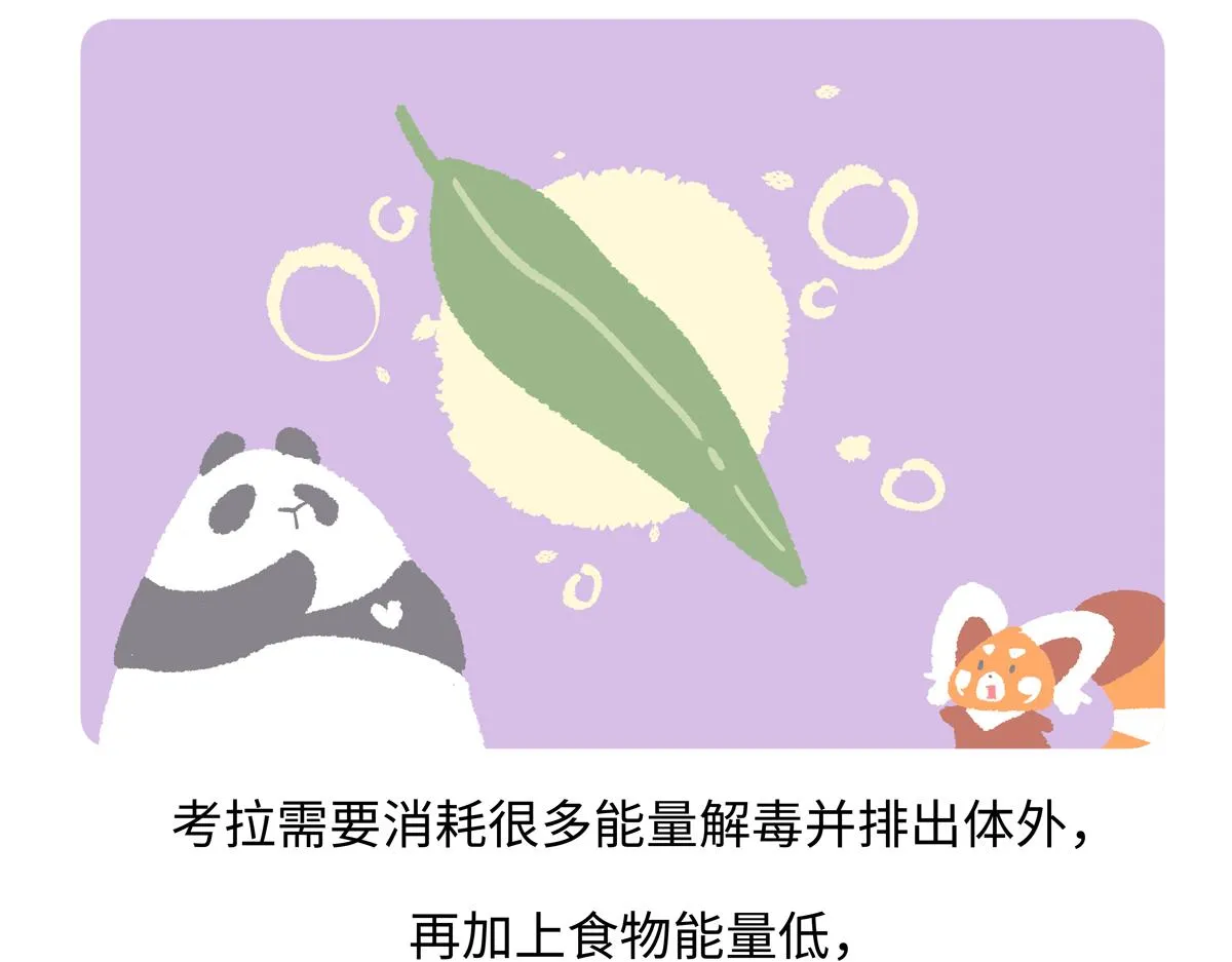 第235话 第22页