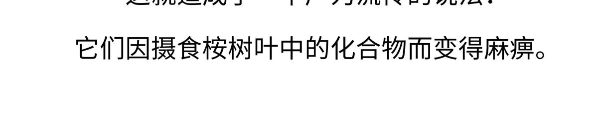 第235话 第24页