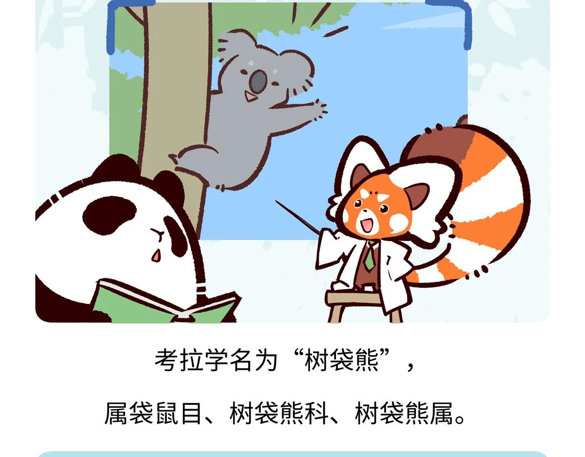 第236话 第18页