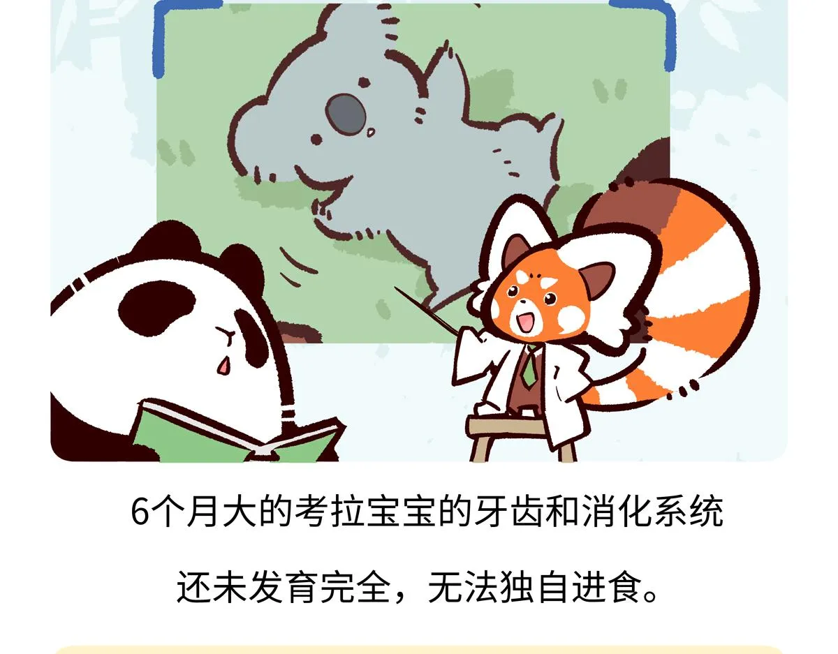 第237话 第19页