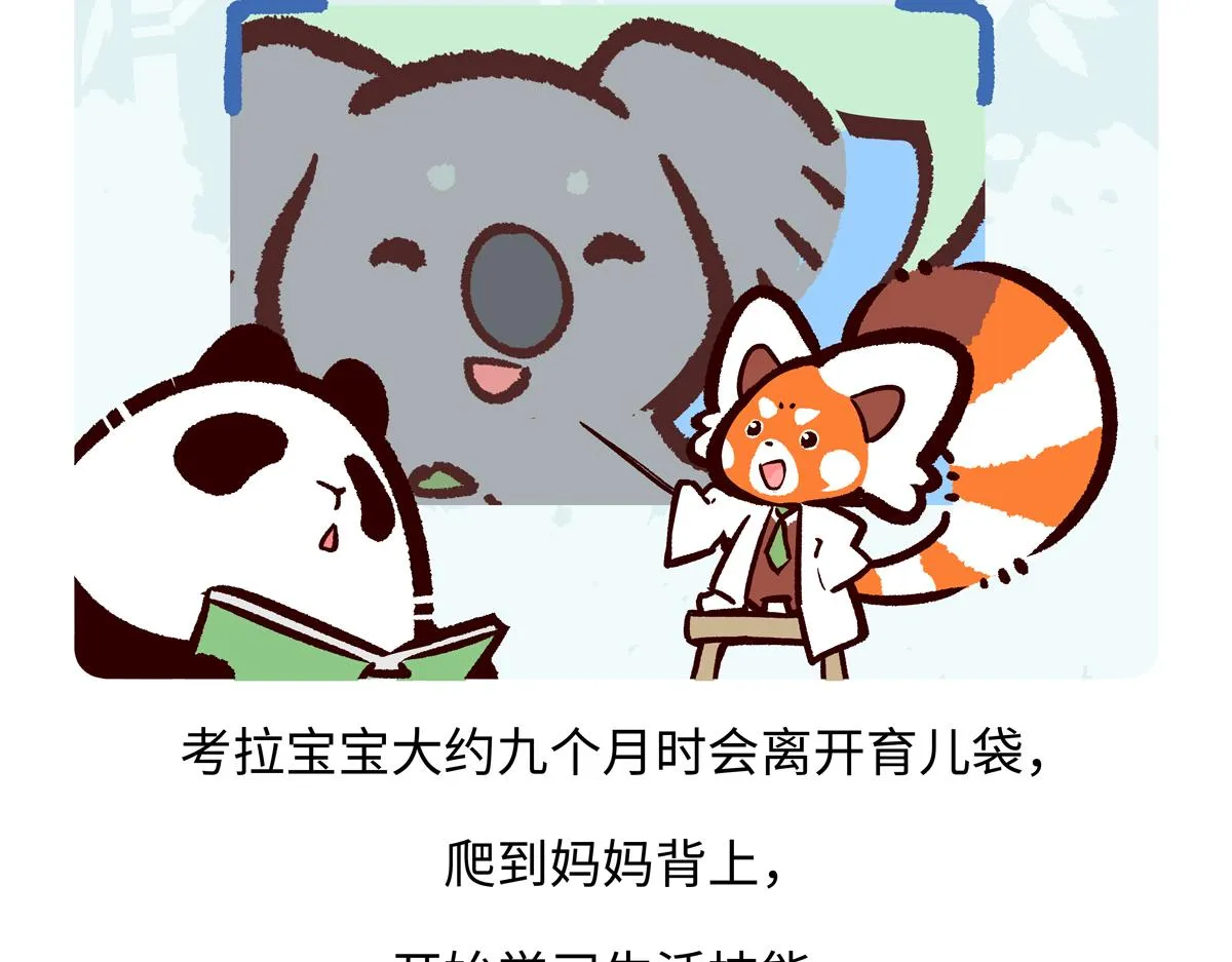 第238话 第19页