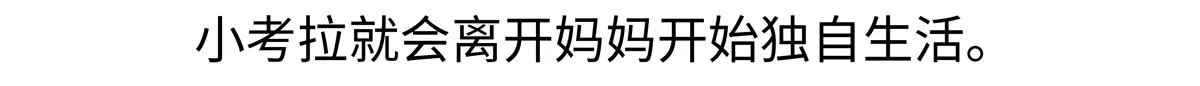 第238话 第21页