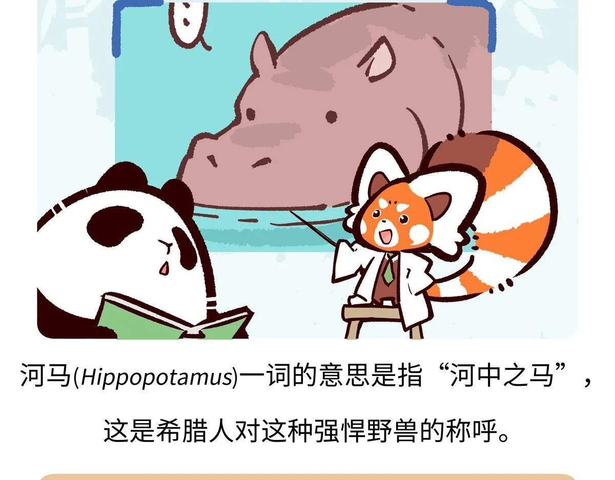 第239话 第19页