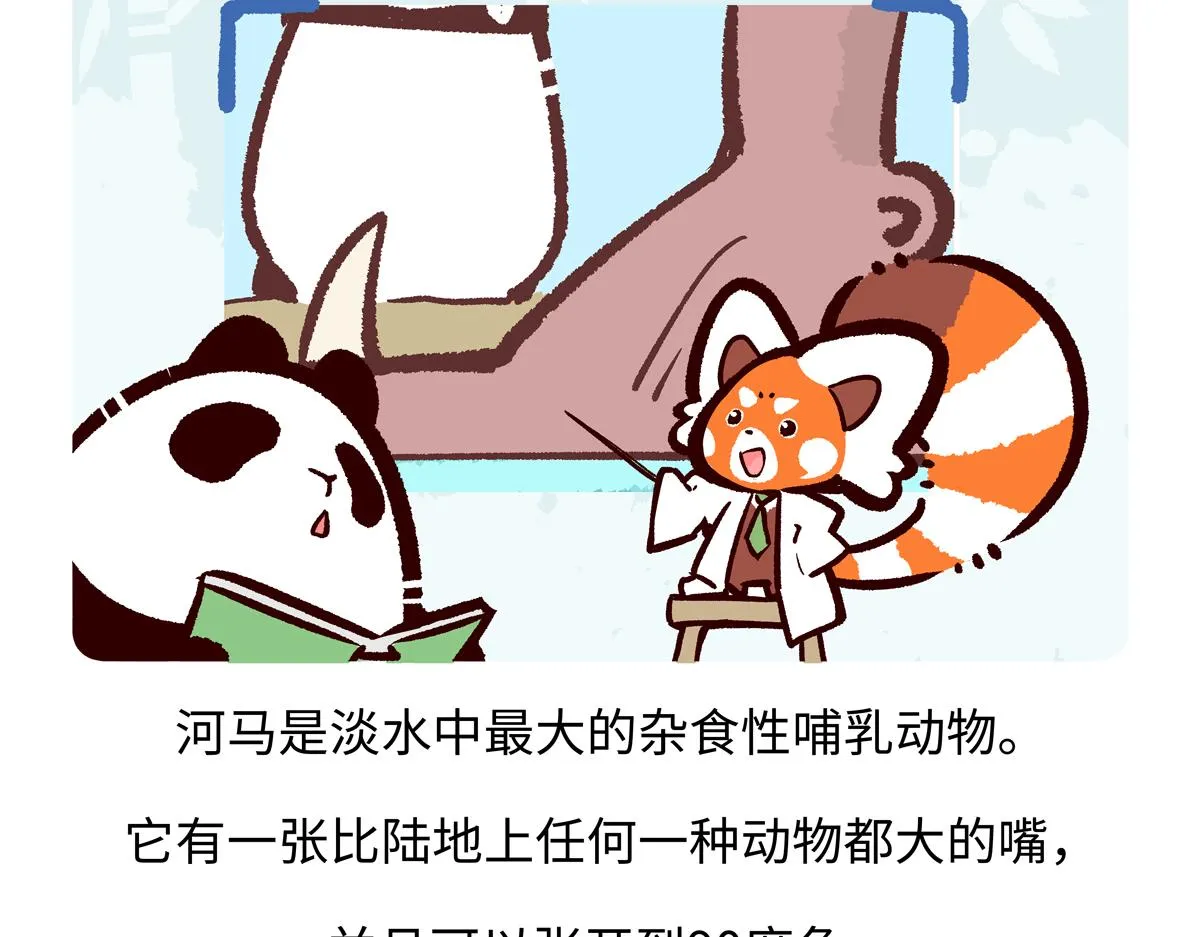第240话 第20页