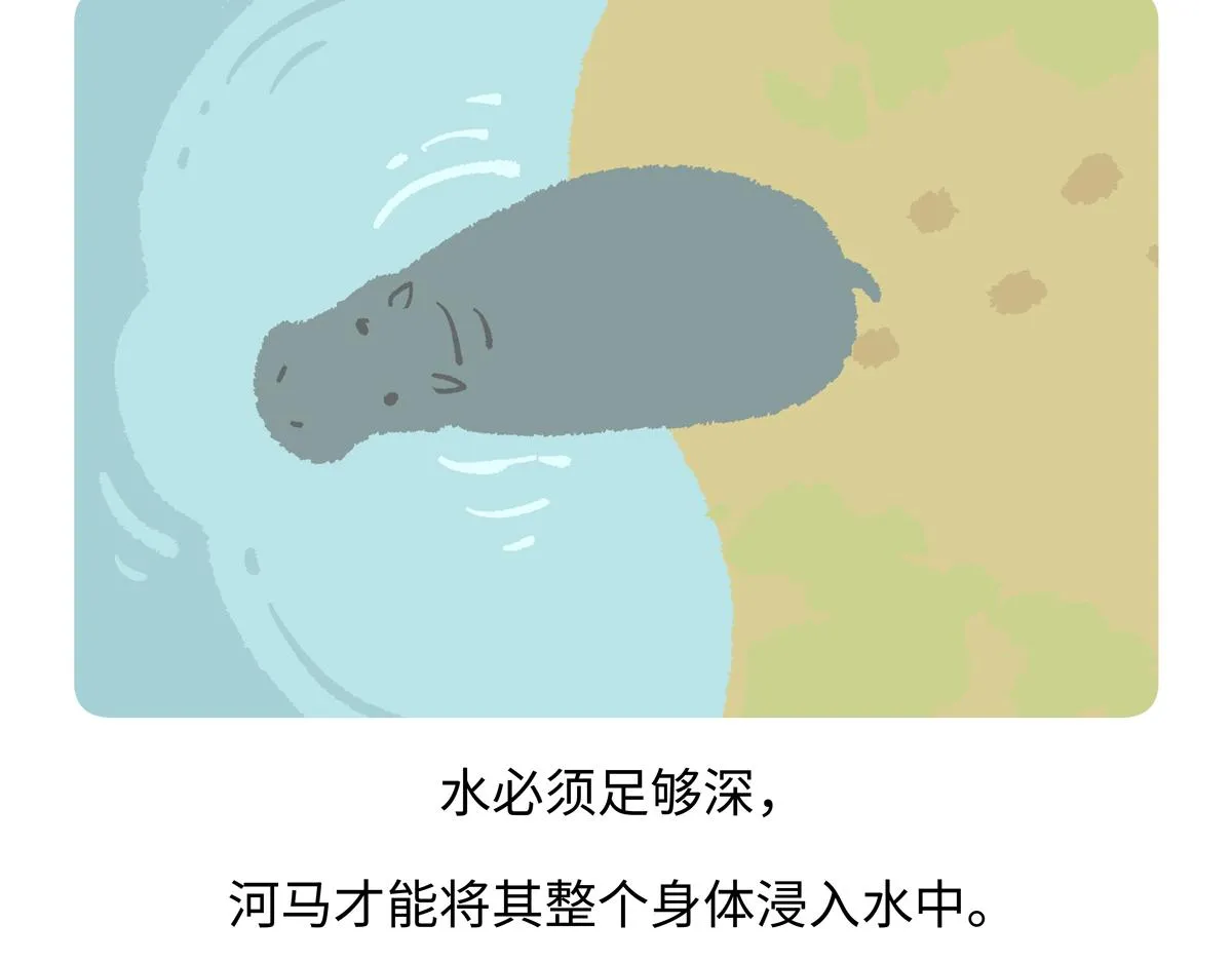 第241话 第18页