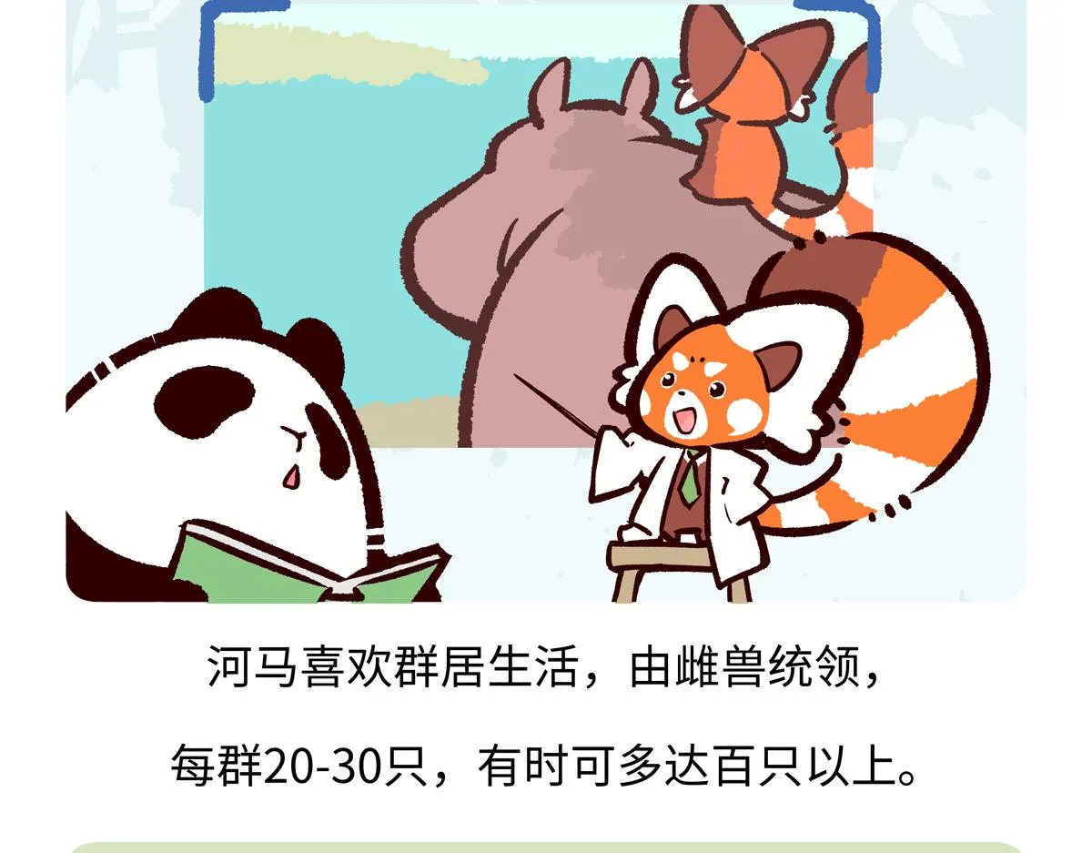 第242话 第17页