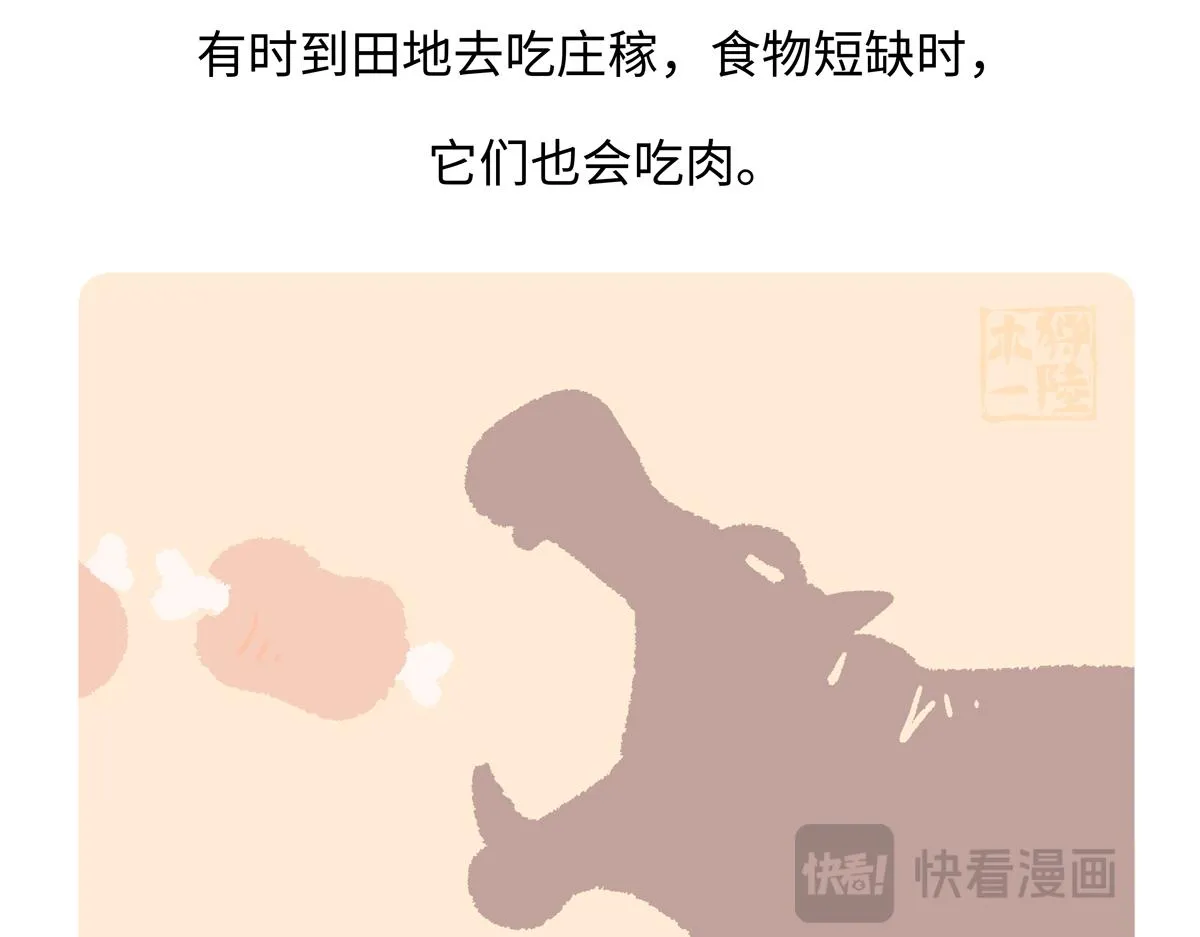 第242话 第26页