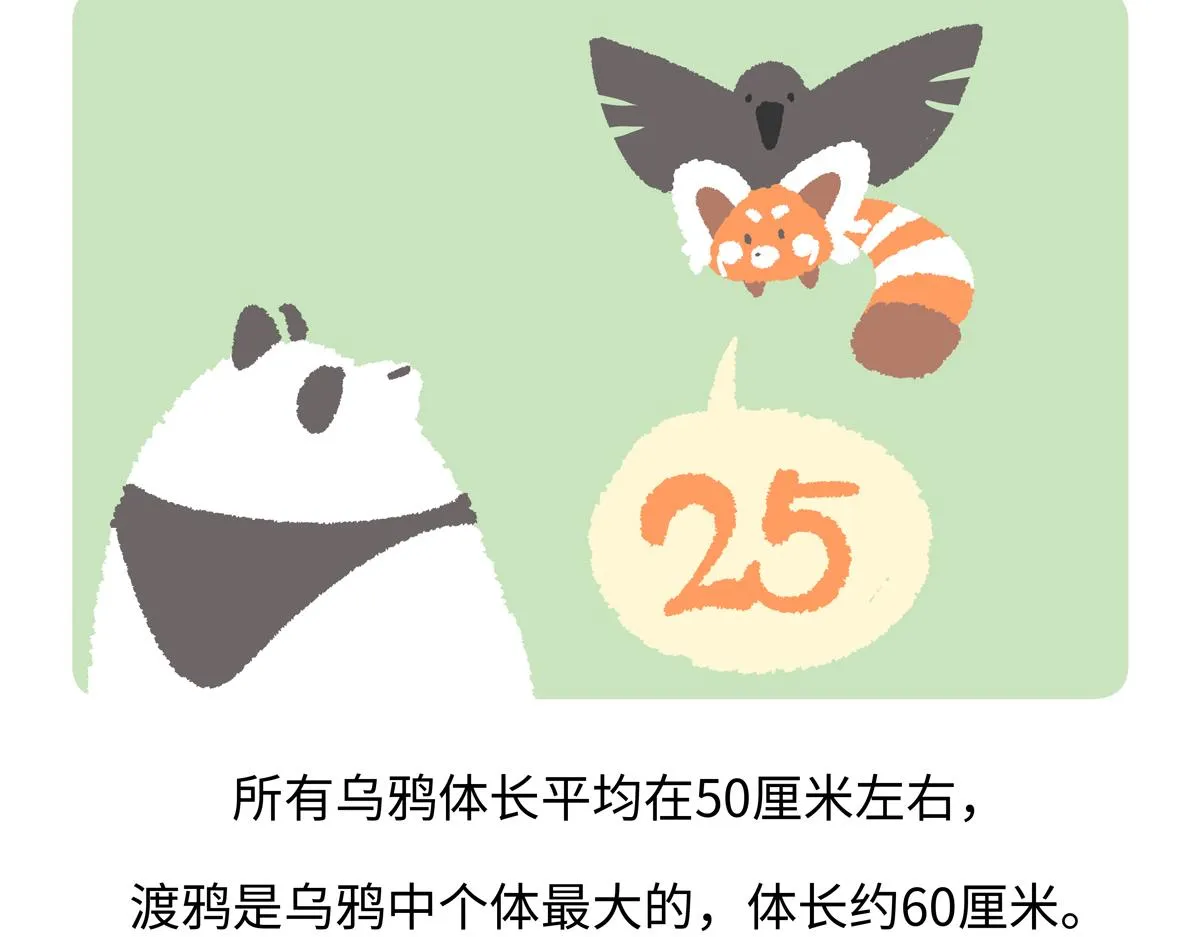 第244话 第21页