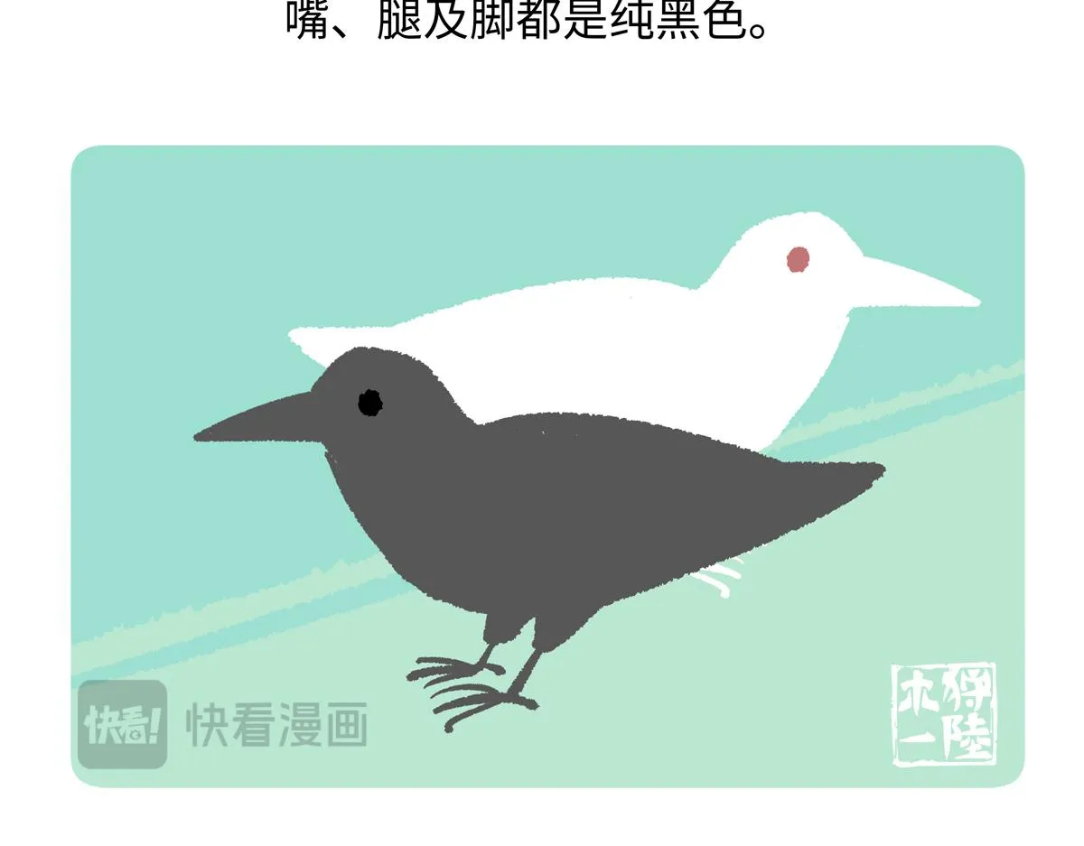 第244话 第24页