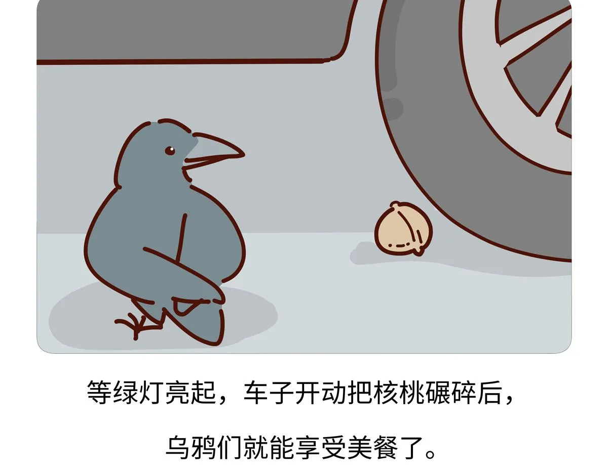 第246话 第19页