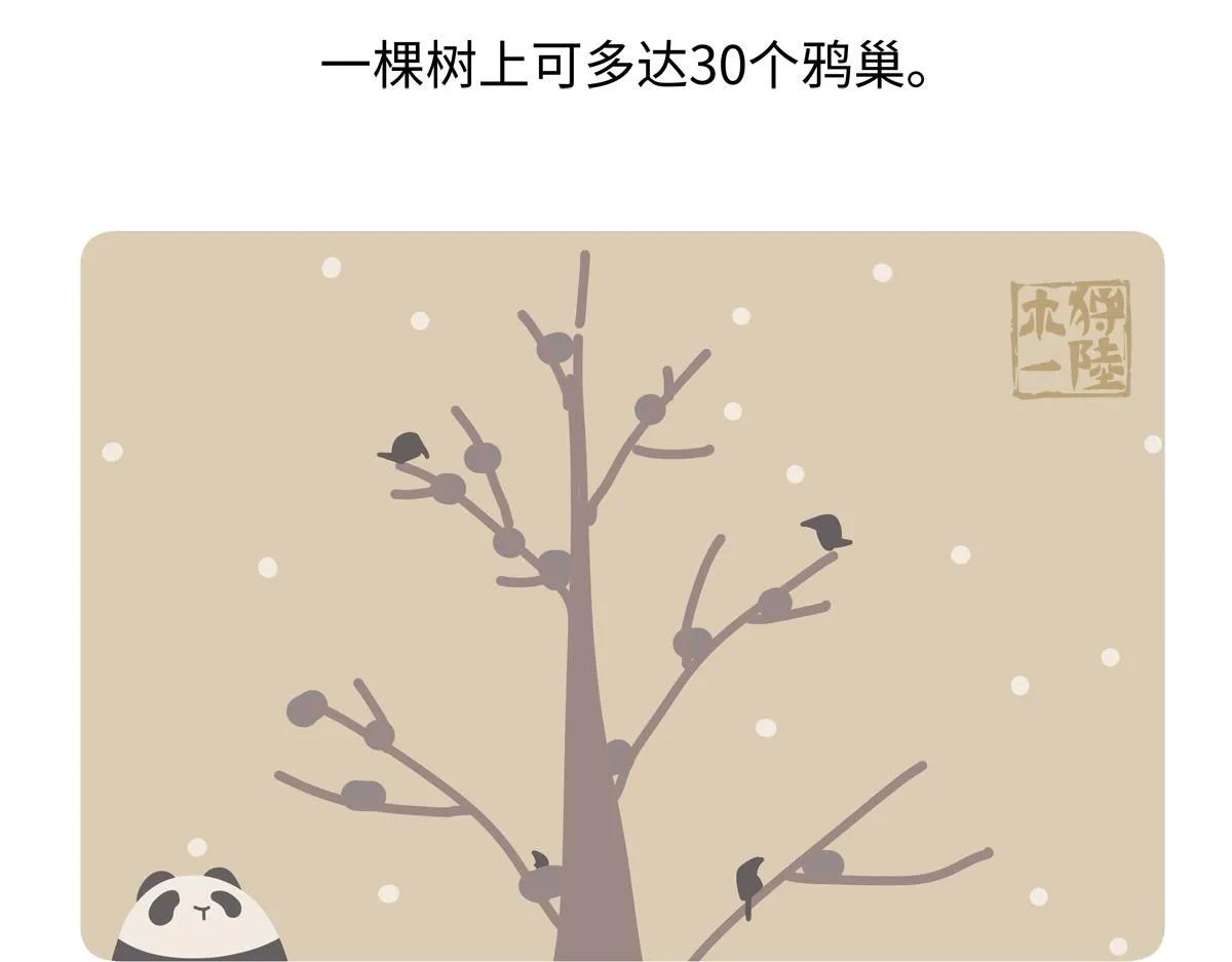 第247话 第23页