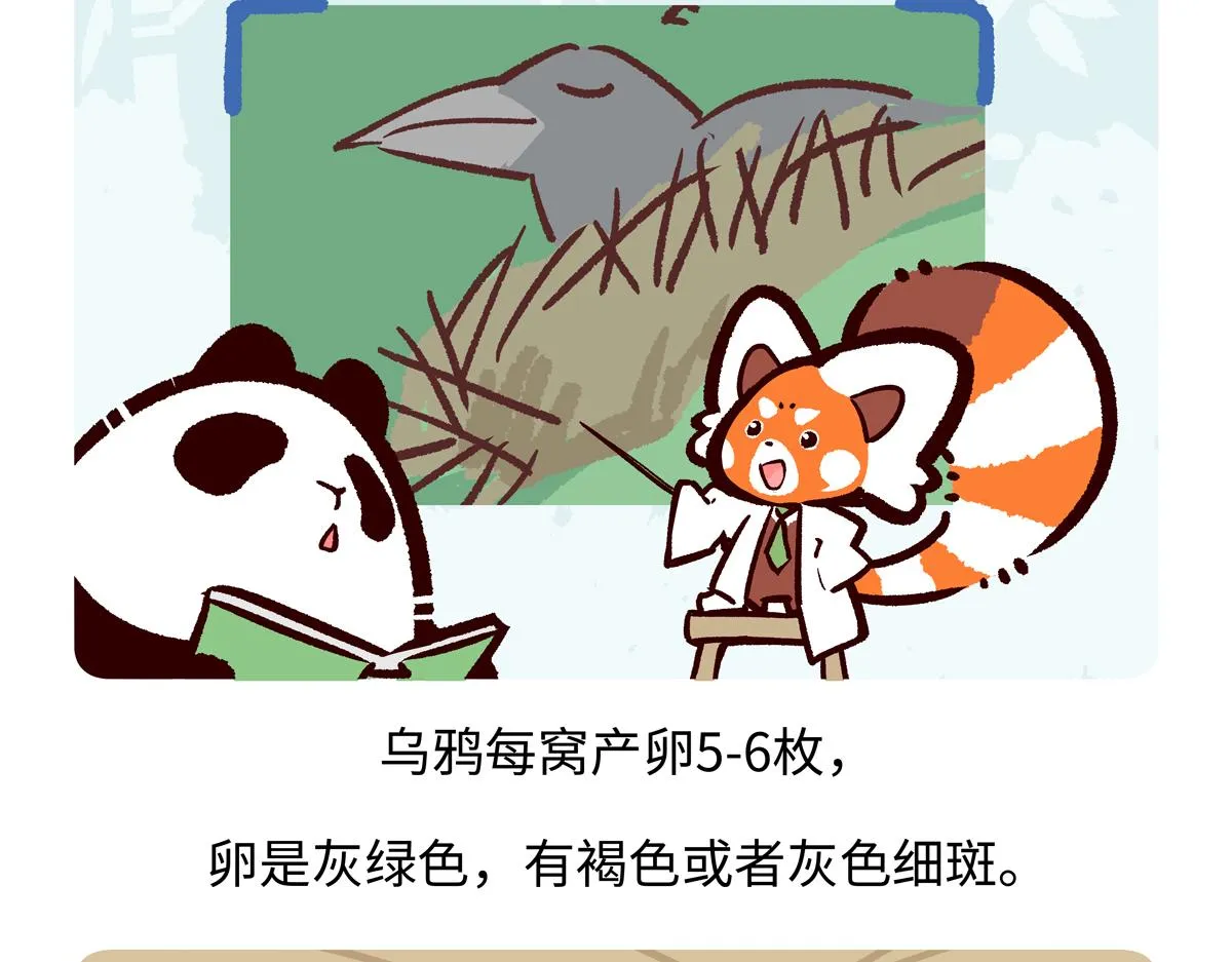 第247话 第26页
