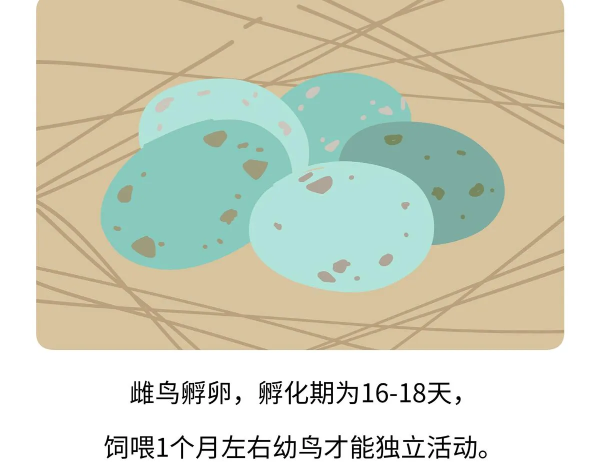 第247话 第27页