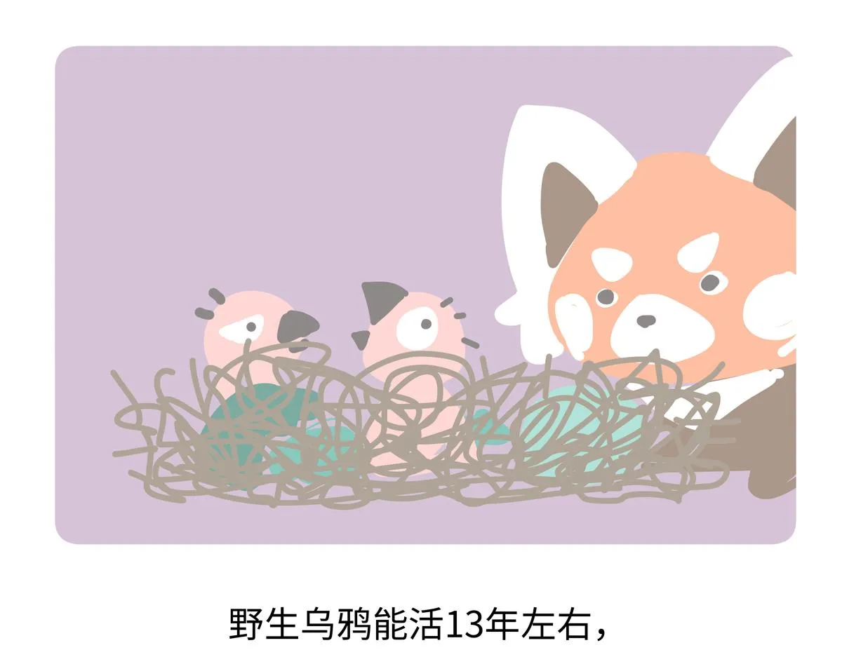 第247话 第28页