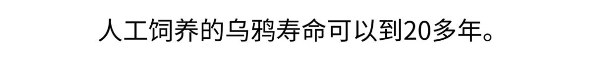 第247话 第29页