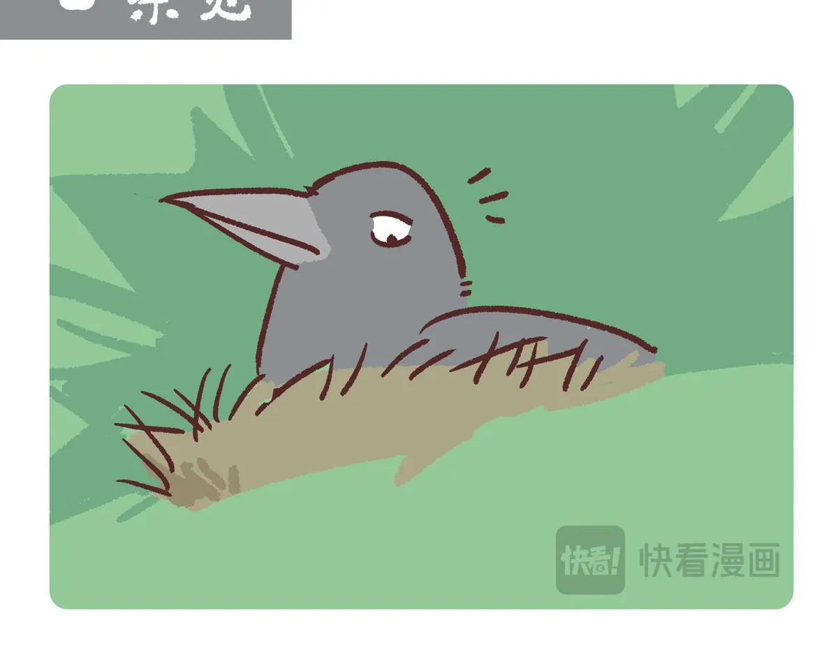 第248话 第8页