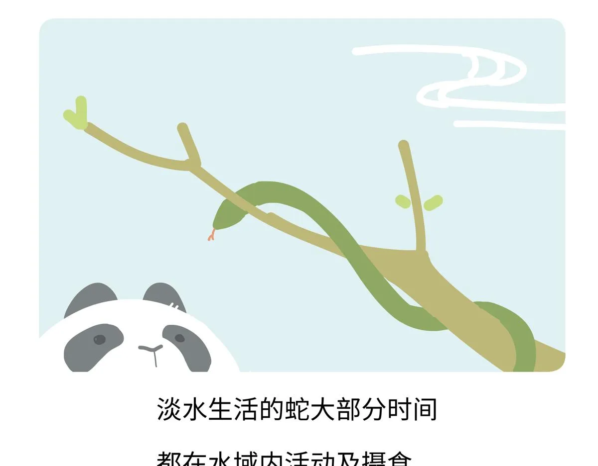 第249话 第28页