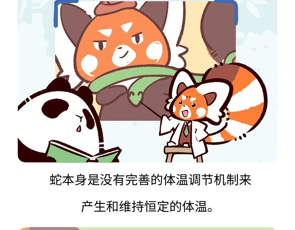 第250话 第20页