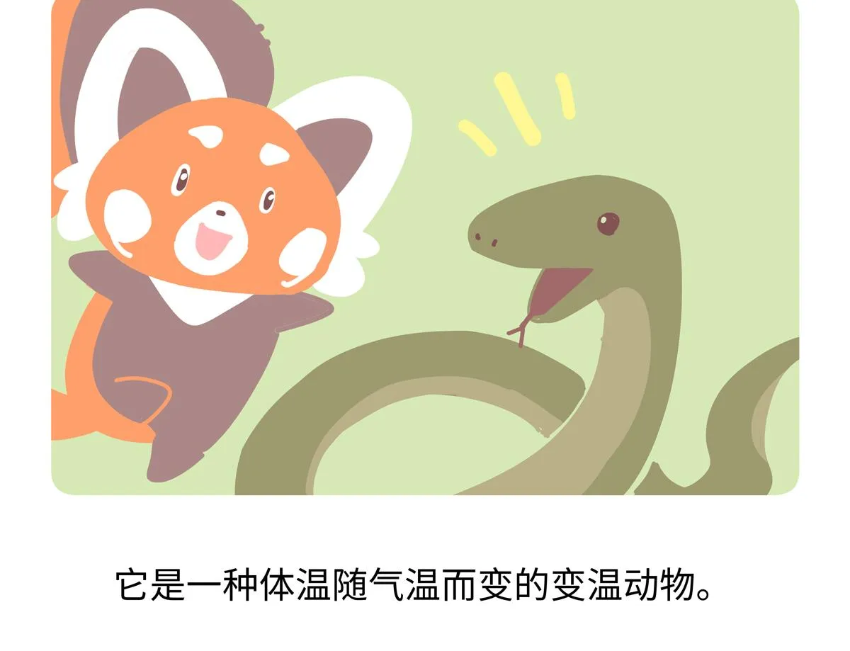 第250话 第21页