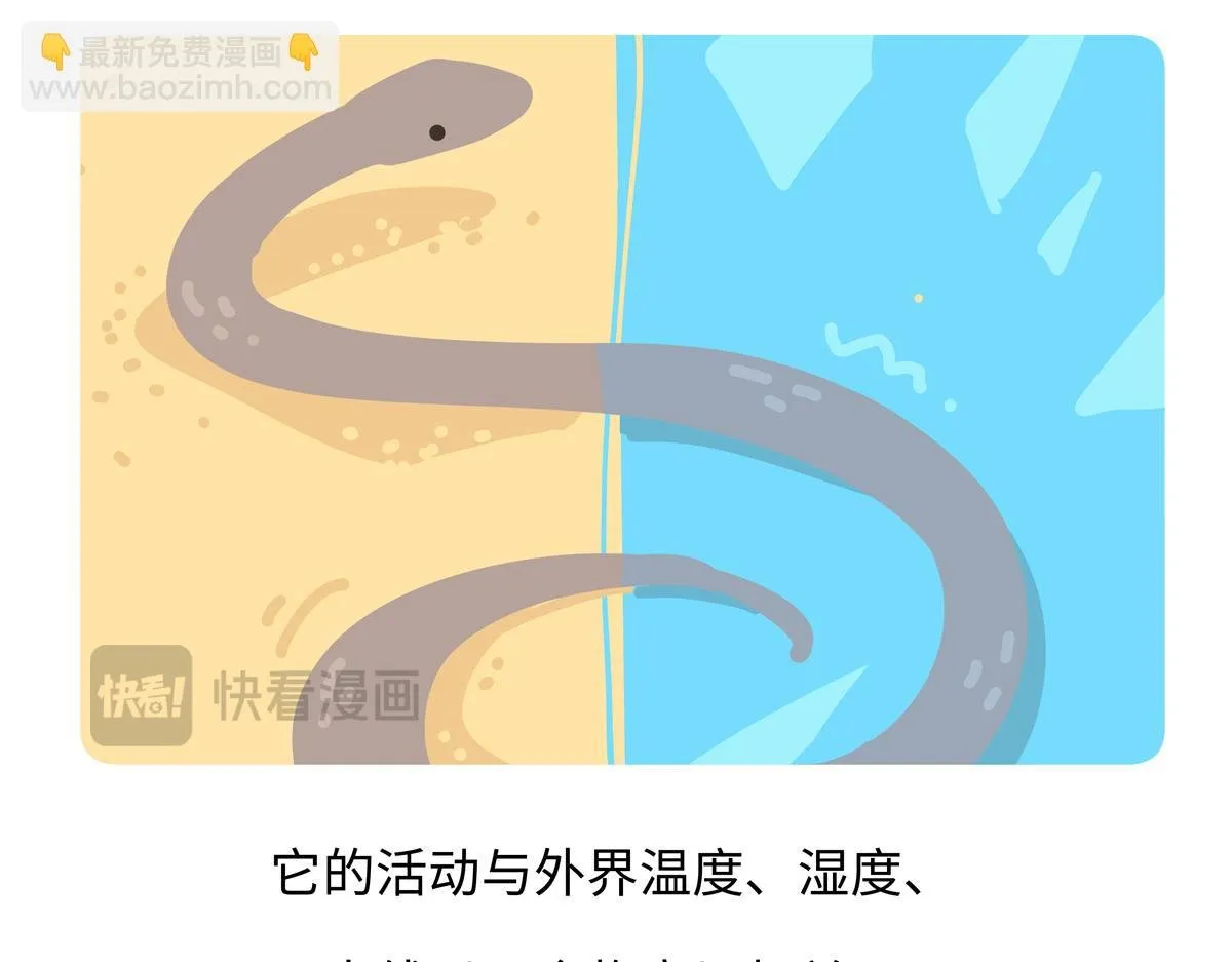第250话 第22页