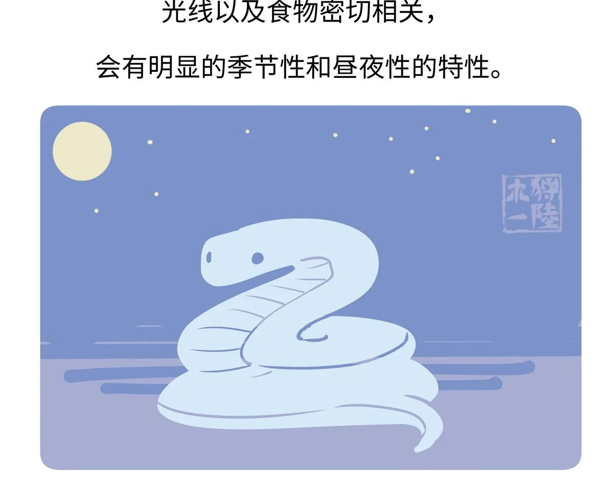 第250话 第23页