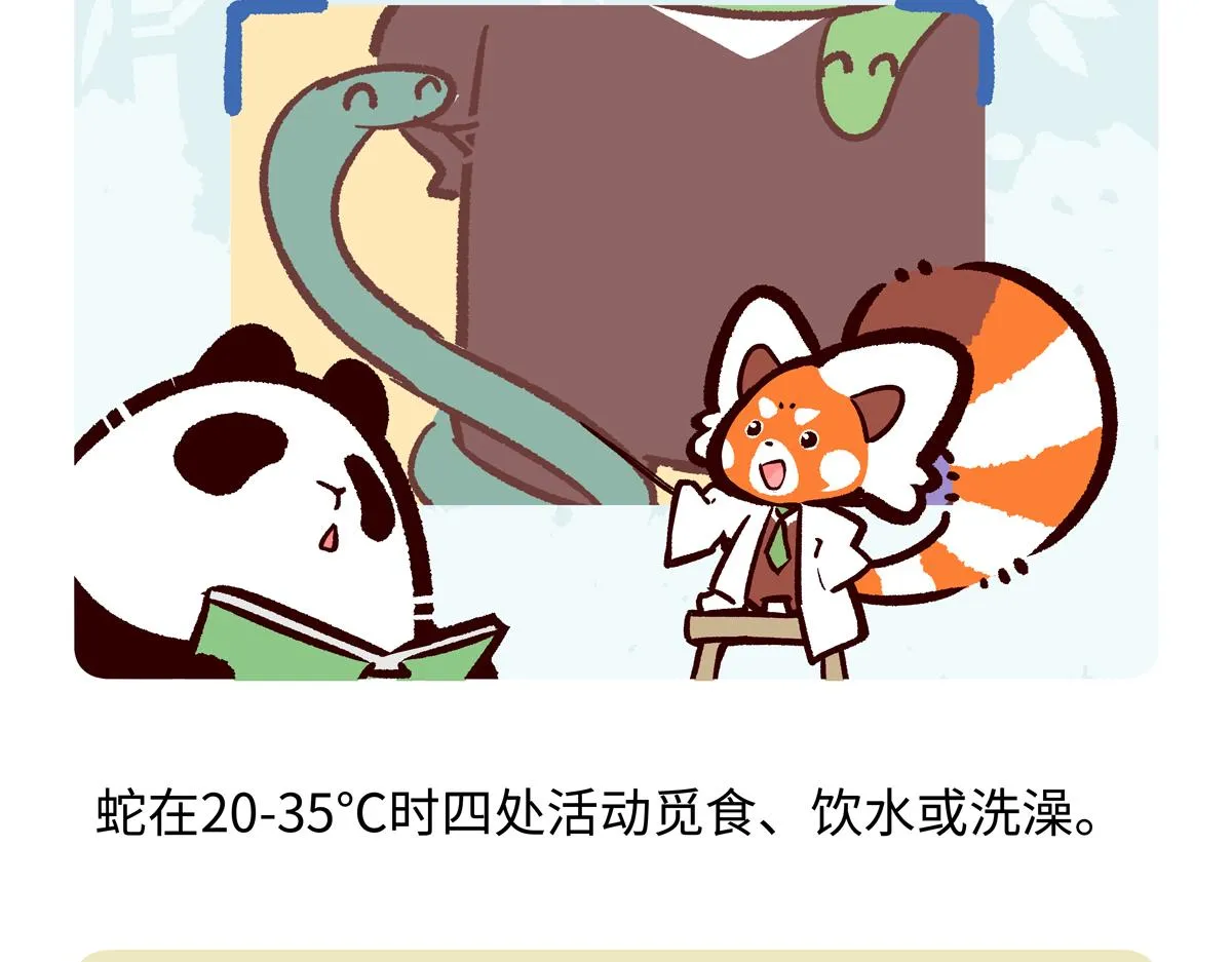 第250话 第26页