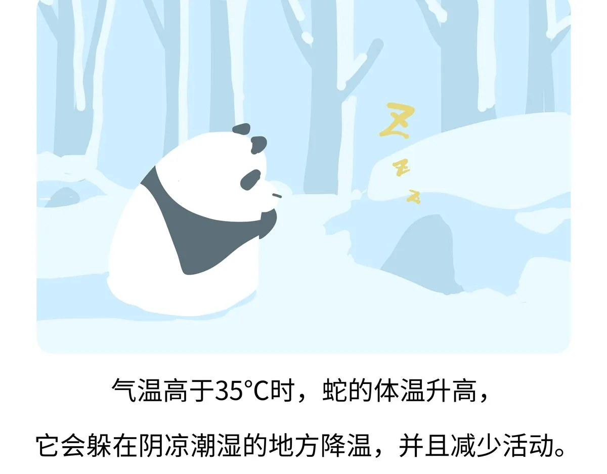 第251话 第21页