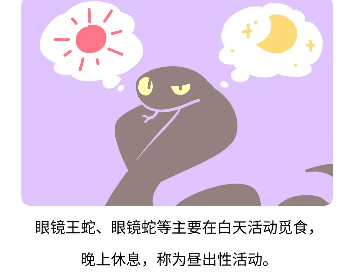 第251话 第28页