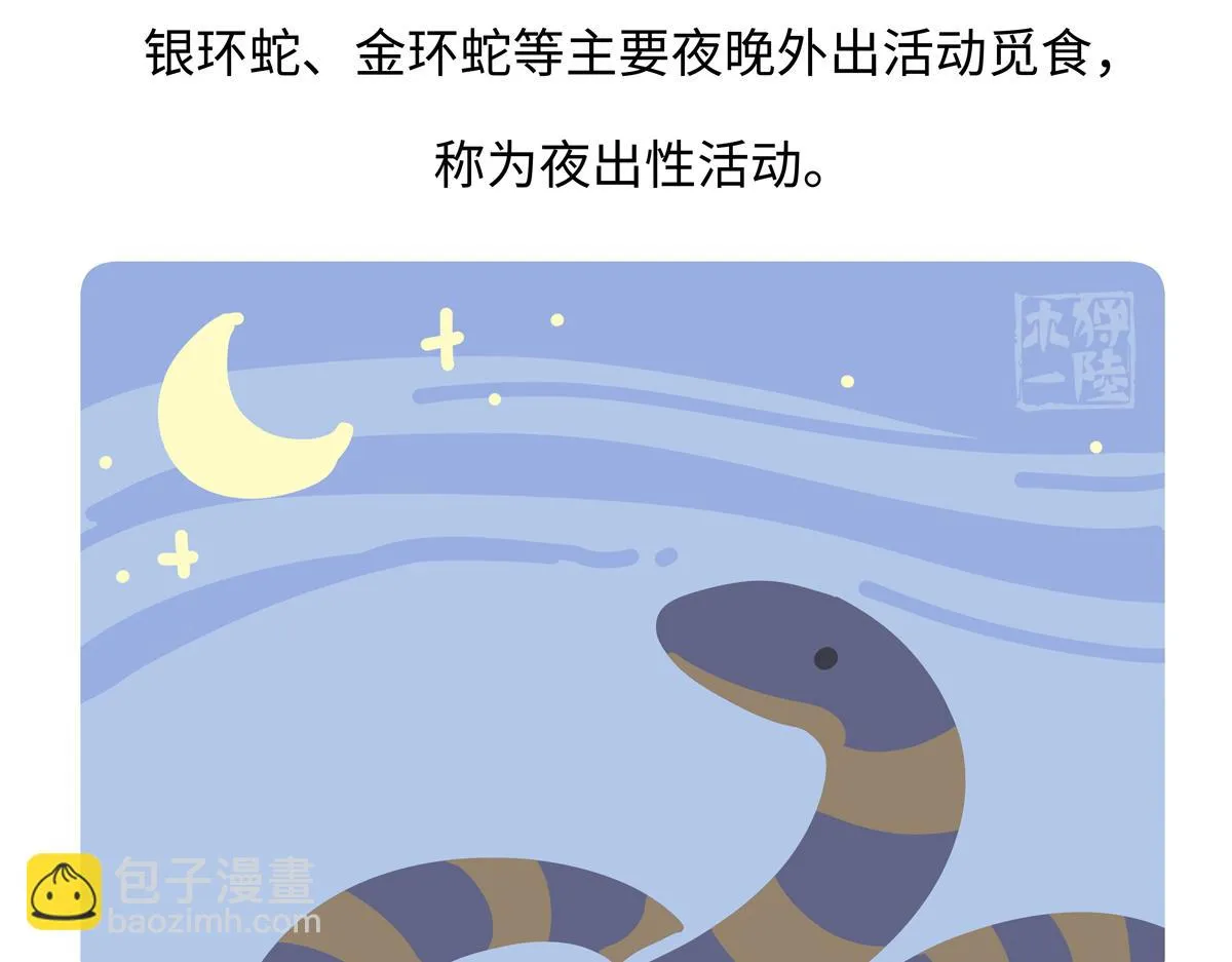 第251话 第30页